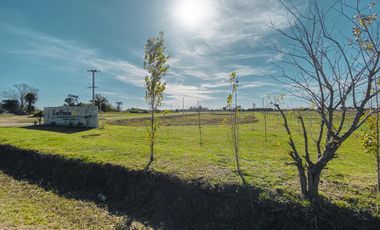 Terreno en Las Fincas de Ibarlucea con 400m²