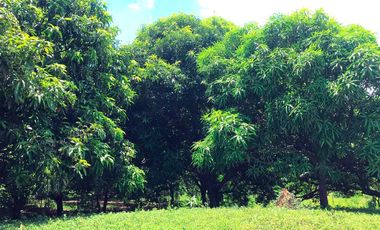 finca en venta en malambo. Cod V26677