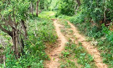 finca en venta en malambo. Cod V26677