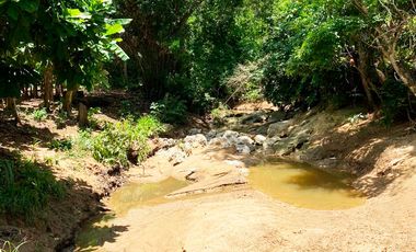 finca en venta en malambo. Cod V26677