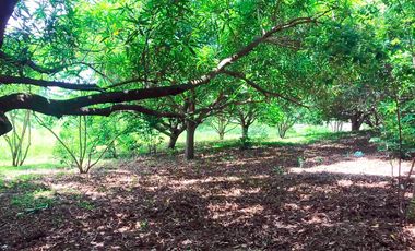 finca en venta en malambo. Cod V26677