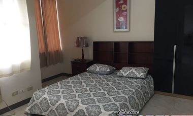 Furnished 2 BR Condo for Rent in Winland Towers Capitol Site