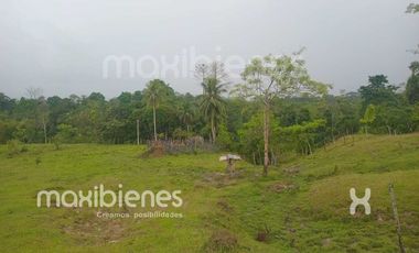 finca en venta en apartado. Cod V68901
