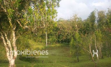 finca en venta en apartado. Cod V68901