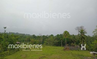 finca en venta en apartado. Cod V68901