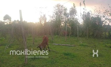 finca en venta en apartado. Cod V68901