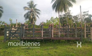 finca en venta en apartado. Cod V68901