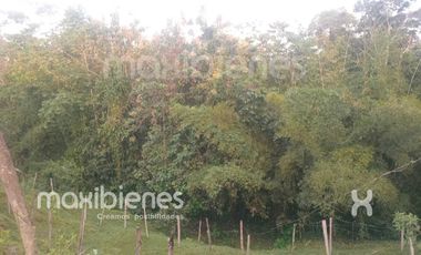 finca en venta en apartado. Cod V68901