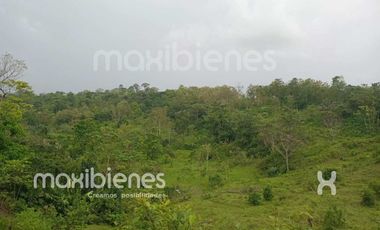 finca en venta en apartado. Cod V68901