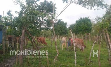 finca en venta en apartado. Cod V68901