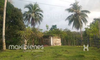 finca en venta en apartado. Cod V68901