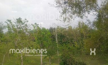finca en venta en apartado. Cod V68901