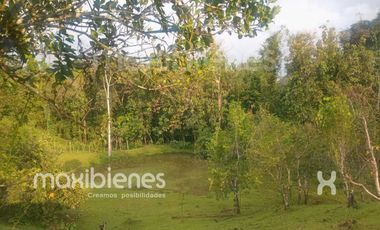 finca en venta en apartado. Cod V68901