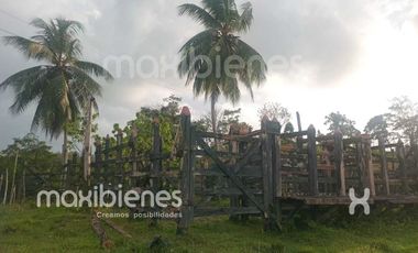 finca en venta en apartado. Cod V68901