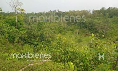 finca en venta en apartado. Cod V68901