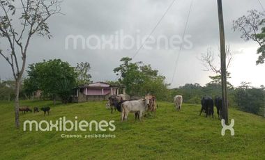 finca en venta en apartado. Cod V68901