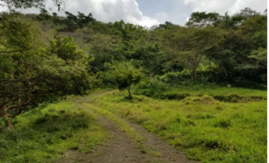 Terreno venta en Chame, Sorá