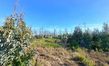 Sitio en venta en Santa Juana