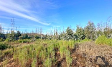Sitio en venta en Santa Juana