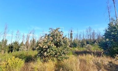 Sitio en venta en Santa Juana