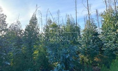 Sitio en venta en Santa Juana