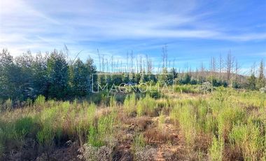 Sitio en venta en Santa Juana