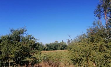 Parcela en Venta en Chépica