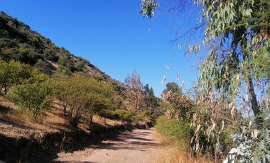 Parcela en Venta en Chépica