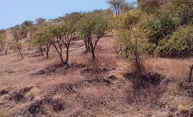 Parcela en Venta en Chépica