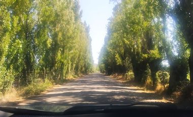 Parcela en Venta en Chépica