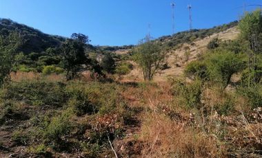Parcela en Venta en Chépica