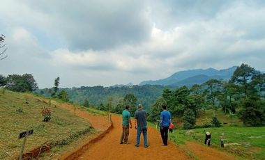 Kavling Konsep Perkebunan Terpadu Pesona Villa Sukaharja