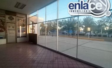 Local Comercial Sobre Avenida