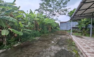 Tanah Luas 240 Meter Persegi Lokasi Strategis di Area Jalan Palagan - Ngaglik Sleman