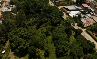 EXCELENTE TERRENO EN VENTA  CON ARBOLES FRUTALES