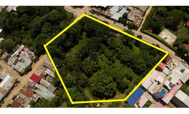 EXCELENTE TERRENO EN VENTA  CON ARBOLES FRUTALES