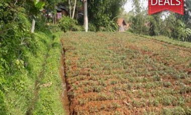 TANAH BANJARAN BANDUNG COCOK UNTUK VILLA DAN KEBUN