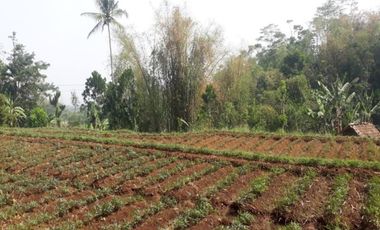TANAH BANJARAN BANDUNG COCOK UNTUK VILLA DAN KEBUN
