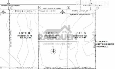 Lotes En Avenida Toconal