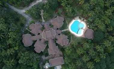 Mansion with Fully Planted Fruit Trees in Davao City