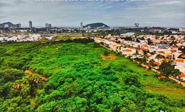 Terrenos en Marina Mazatlán | Oportunidades Comerciales Únicas