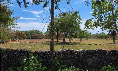 PROYECTO HABITACIONAL, LA ASEQUIA POTRERILLO