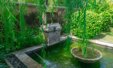 Leasehold - Tropical Estate with Huge Garden - Walking Distance to Berawa Beach, Canggu, Bali