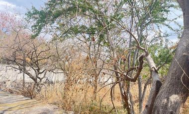 TERRENO EN VENTA COL. LOMAS DEL POTRERO ,YAUTEPEC MORELOS A 5 MIN DEL CENTRO
