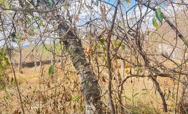 TERRENO EN VENTA COL. LOMAS DEL POTRERO ,YAUTEPEC MORELOS A 5 MIN DEL CENTRO