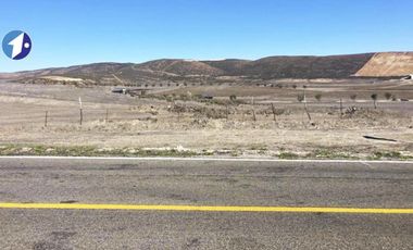 Se vende terreno de 5,300 m2 en Valle De Guadalupe