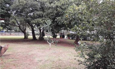 VENDO LOTE COMERCIAL EN DAVID CHIRIQUI