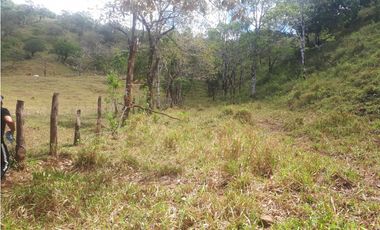 Se Vende Finca en Gualaca, 4.3 has
