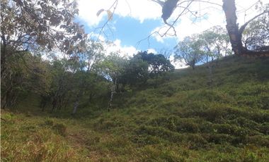 Se Vende Finca en Gualaca, 4.3 has