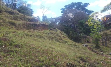 Se Vende Finca en Gualaca, 4.3 has